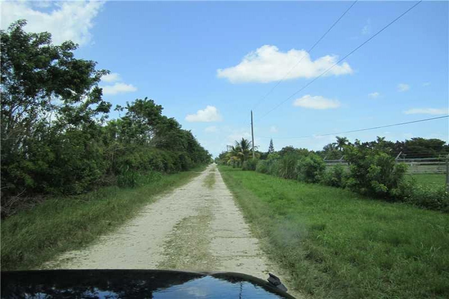 Homestead,Florida 33031,Commercial Land,227 AVE APPROX,A1997900