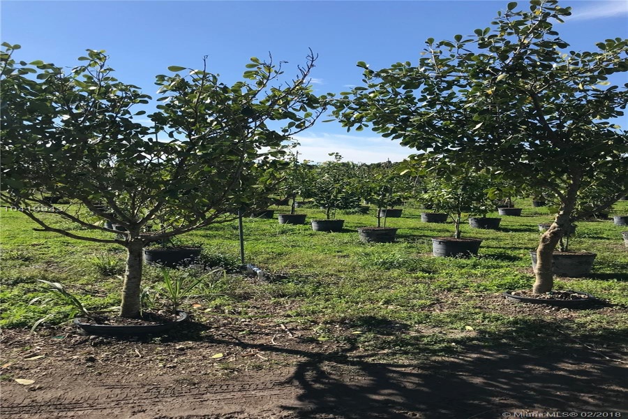 Commercial Land For Sale Price 1,649,000 10419943